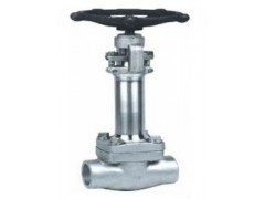 低溫截止閥DJ41W-- 上海首江閥門有限公司