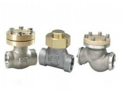 低溫止回閥DH61Y、DH44Y-- 上海首江閥門有限公司