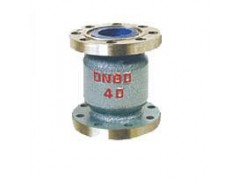 H42B氨用止回閥-- 上海工良閥門廠