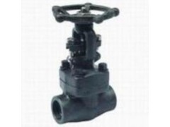 進(jìn)口蒸汽閘閥|蒸汽鑄鋼閘閥-- 深圳名閥進(jìn)出口貿(mào)易有限公司