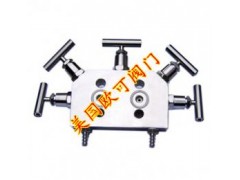 進(jìn)口五閥組-- 深圳市依博羅閥門有限公司