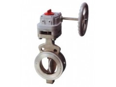 302Y雙偏心對夾式高性能蝶閥-- 上海首龍閥門有限公司