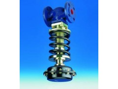 進口自力式減壓閥，進口美國調(diào)節(jié)閥-- 美國VTON（威盾）閥門集團有限公司