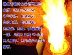 供應JGQHL-1氣化爐-- 山東德州新生新能源公司