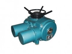 上海 DZW15  DZW20 DZW30 多回轉電動裝置-- 揚州百通閥門有限公司