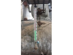 DSJ-6電極式鍋爐雙色液位計-- 河南天潤測控有限公司