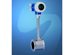 高精度渦街流量計(jì)-- 天津市迅爾儀表科技有限公司深圳辦事處