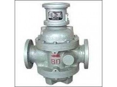 雙轉子流量計-- 江蘇康宇自動化設備有限公司