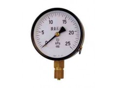 膜盒壓力表-- 江蘇金湖中鼎儀表有限公司