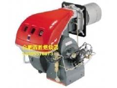 RL130燃油燃燒器-- 合肥市霖勝鍋爐熱能設備有限公司