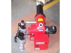 TG系列中小型雙段（全自動大/小火控制）燃?xì)馊紵C）器-- 鄭州中威環(huán)保設(shè)備有限公司