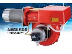 FS20燃氣燃燒器-- 合肥市霖勝鍋爐熱能設備有限公司