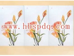 碳晶電暖畫-- 滄州上浦電器設備有限公司