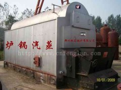 2噸燃煤鏈條全自動蒸汽鍋爐-- 鄭州楓嵐鍋爐有限公司