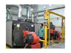 工業燃氣鍋爐-- 西安久大設備安裝工程有限公司