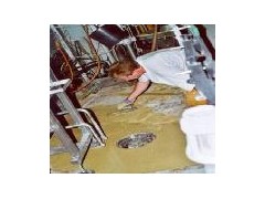 西卡灌漿料批發西卡214現貨-- 深圳和能達建材有限公司