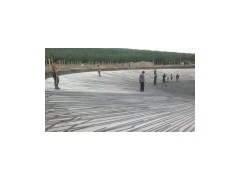 專業生產制造粉煤灰罐-- 聊城國華建筑工程有限公司