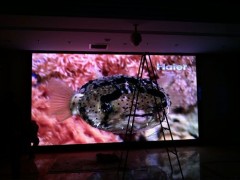 供應言行LED全彩顯示屏p4-- 廣州言行電子科技有限公司