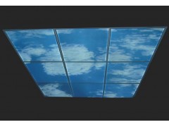 超薄發光天花板\地板\幕墻-- 廣州嘉慶電子有限公司