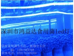 LED食用菌補光燈-- 深圳鴻益達光電科技有限公司