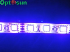 LED5050RGB白光燈條3014-- 深圳市奧陽光電科技有限公司