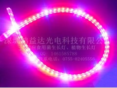 5050高壓植物生長燈-- 深圳鴻益達光電科技有限公司