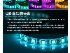 創(chuàng)想led七燈帶-- 深圳創(chuàng)想光電有限公司
