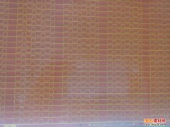 竟佳5050 RGB 60D/M雙面白板-- 廣州市竟佳電子有限公司