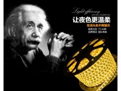 220V萊帝亞高壓燈帶-- 廣州市萊帝亞照明科技有限公司