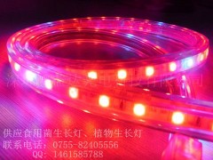 鴻益達LED植物生長燈,植物燈帶-- 深圳鴻益達光電科技有限公司