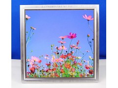 集成吊頂LED平板燈-- 香港秉新國際貿易有限公司