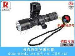 BR3900消防專用手電筒(配萬向節)-- 溫州市榮的照明電器有限公司