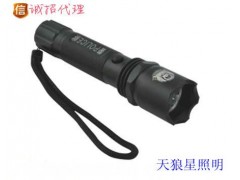 JW7622強光手電筒-- 浙江溫州天狼星照明有限公司
