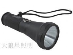 BW7100高射程防爆電筒-- 浙江溫州天狼星照明有限公司