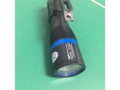 便攜式LED夜間勘察燈 勘查手持光源 六邊形勘燈-- 深圳市百強照明科技有限公司