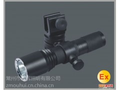 LED微型防爆調光電筒BAD202C-- 江蘇歐輝照明燈具有限公司