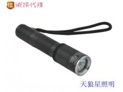 JW7620防爆手電-- 浙江溫州天狼星照明有限公司