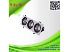 供應COB天花燈PAR30-35W-- 深圳市星寶極光照明有限公司