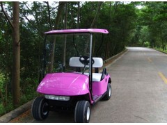 躍迪YD-L高爾夫球車2-- 河北躍迪新能源科技集團有限公司