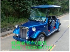 5座豪華電動巡邏車-- 湖南大豐合電動車業有限公司