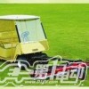 供應 高爾夫撿球車 電動車(圖)