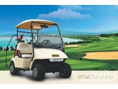 電動高爾夫球車 高爾夫球車BTW-GM2-- 武漢貝特威爾電動汽車有限公司