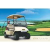電動高爾夫球車 高爾夫球車BTW-GM2