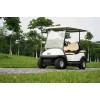 2+2人座電動高爾夫球車