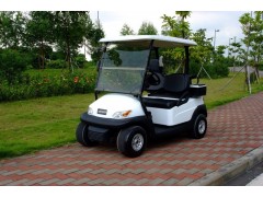 2人座電動高爾夫球車 高爾夫電動車 四輪電瓶車 電動巡邏車-- 東莞市卓越高爾夫觀光車有限公司浙江辦事處