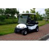 2人座電動高爾夫球車 高爾夫電動車 