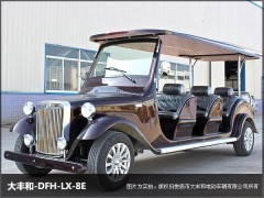 廣東紫色6C電動觀光車-- 湖南大豐合電動車業有限公司