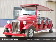 山東省（魯）8座電動老爺車江西省（贛）6座電動老爺車-- 湖南大豐合電動車業有限公司