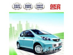 魯濱電動轎車，內燃觀光車-- 濱州大成電動車業有限公司