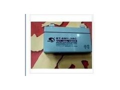 賽特蓄電池BT-6M1.3AC-- 北京恒大匯豐科技有限公司